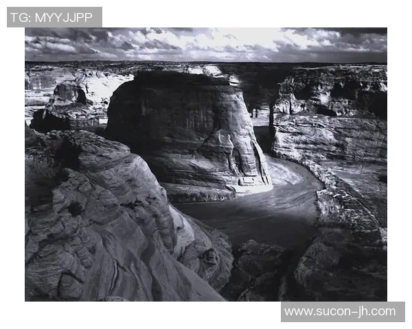 亚当斯的传奇人生与影响力探秘：从科学家到人类思想的引领者