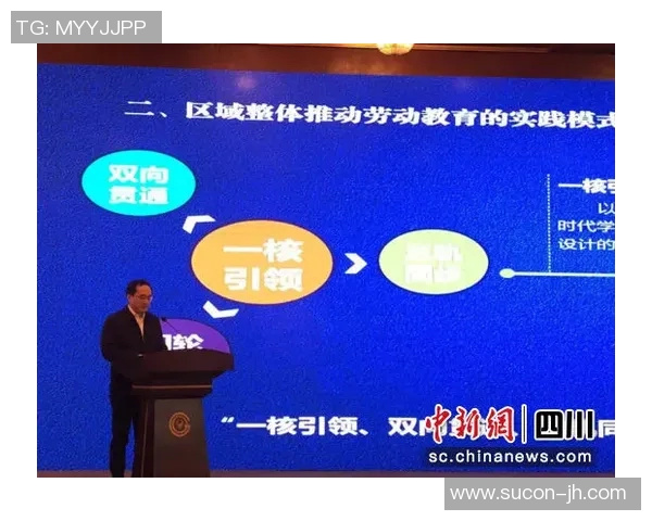 张帆：在新时代背景下探索创新与发展的多元路径与实践经验分享
