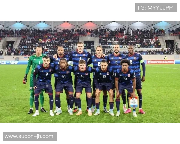 斯洛伐克与波斯尼亚的精彩对决谁能在这场较量中胜出