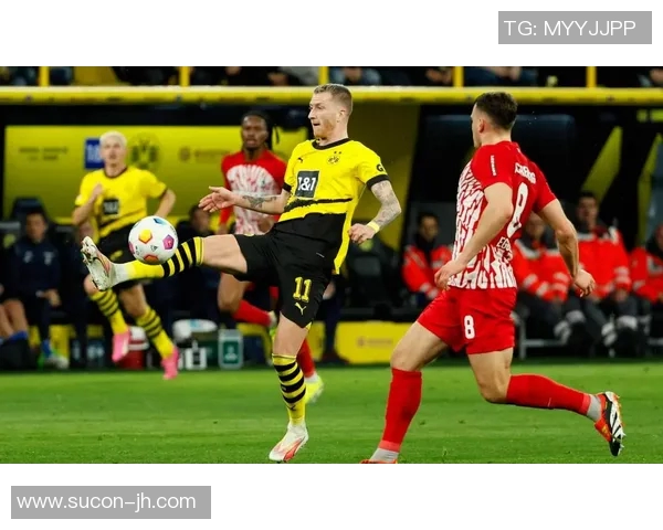 多特蒙德球迷暴力事件引发欧冠禁赛三场并罚款50万欧元 多特蒙德球迷暴力事件引发欧冠禁赛三场并罚款50万欧元