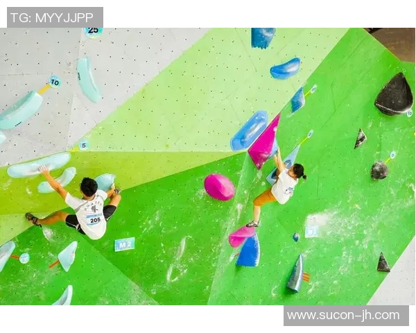 杭州飞盘队在世界攀岩锦标赛中的团队协作表现精彩点评与分析MBA 杭州飞盘队在世界攀岩锦标赛中的团队协作表现精彩点评与分析MBA