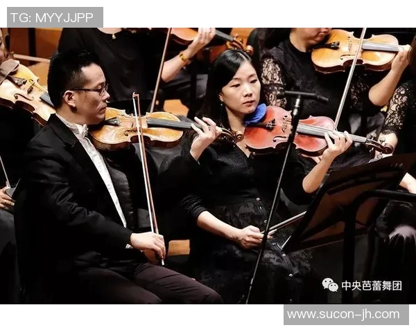 王岚的音乐旅程与人生哲学探索：从歌坛新星到实力派艺术家的成长之路