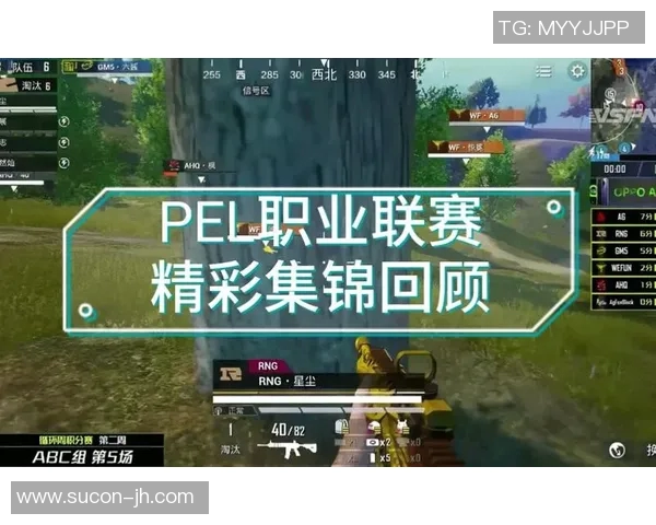 和平精英热议RNG状态引发争议玩家对战绩与表现的不同看法