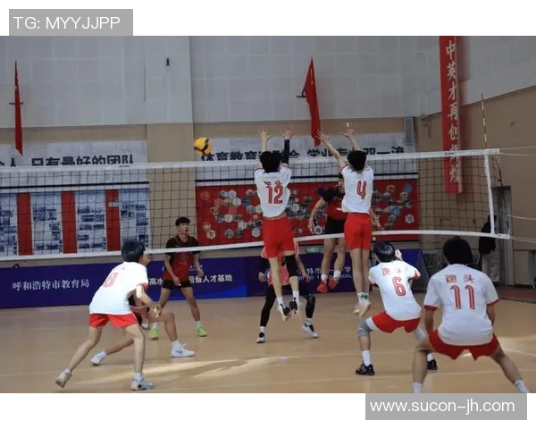 成都排球队个人能力排名创新高引发热议展现新一代排球人才风采